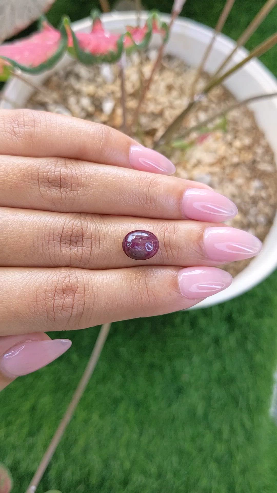 4.44 Ct. Purplish Red Star Ruby from Ceylon (Sri Lanka) Size Video