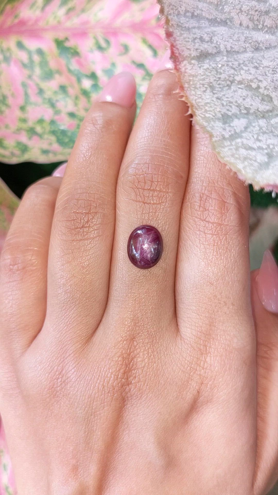 4.44 Ct. Purplish Red Star Ruby from Ceylon (Sri Lanka) Size Video