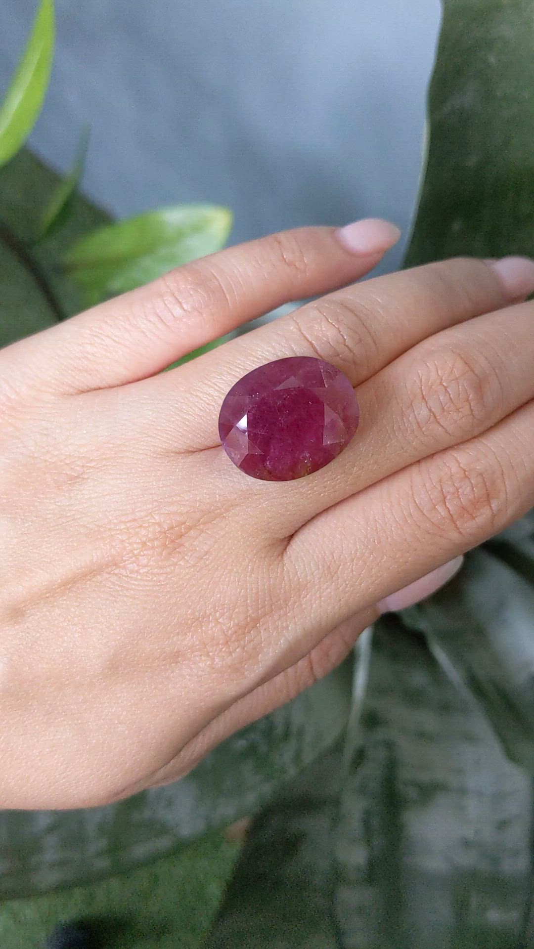 36.16 Ct. Purplish Red Ruby from Mozambique Size Video