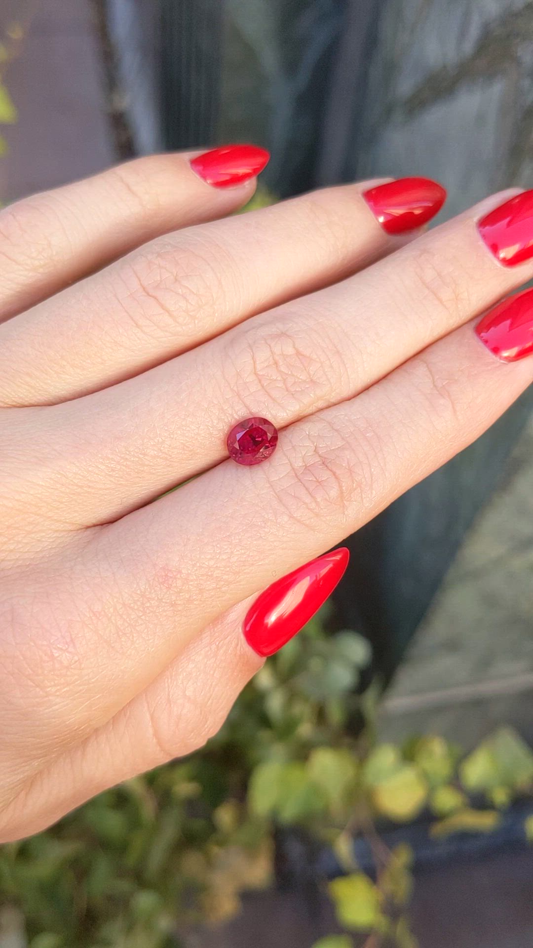 1.61 Ct. Ruby from Burma (Myanmar) Size Video