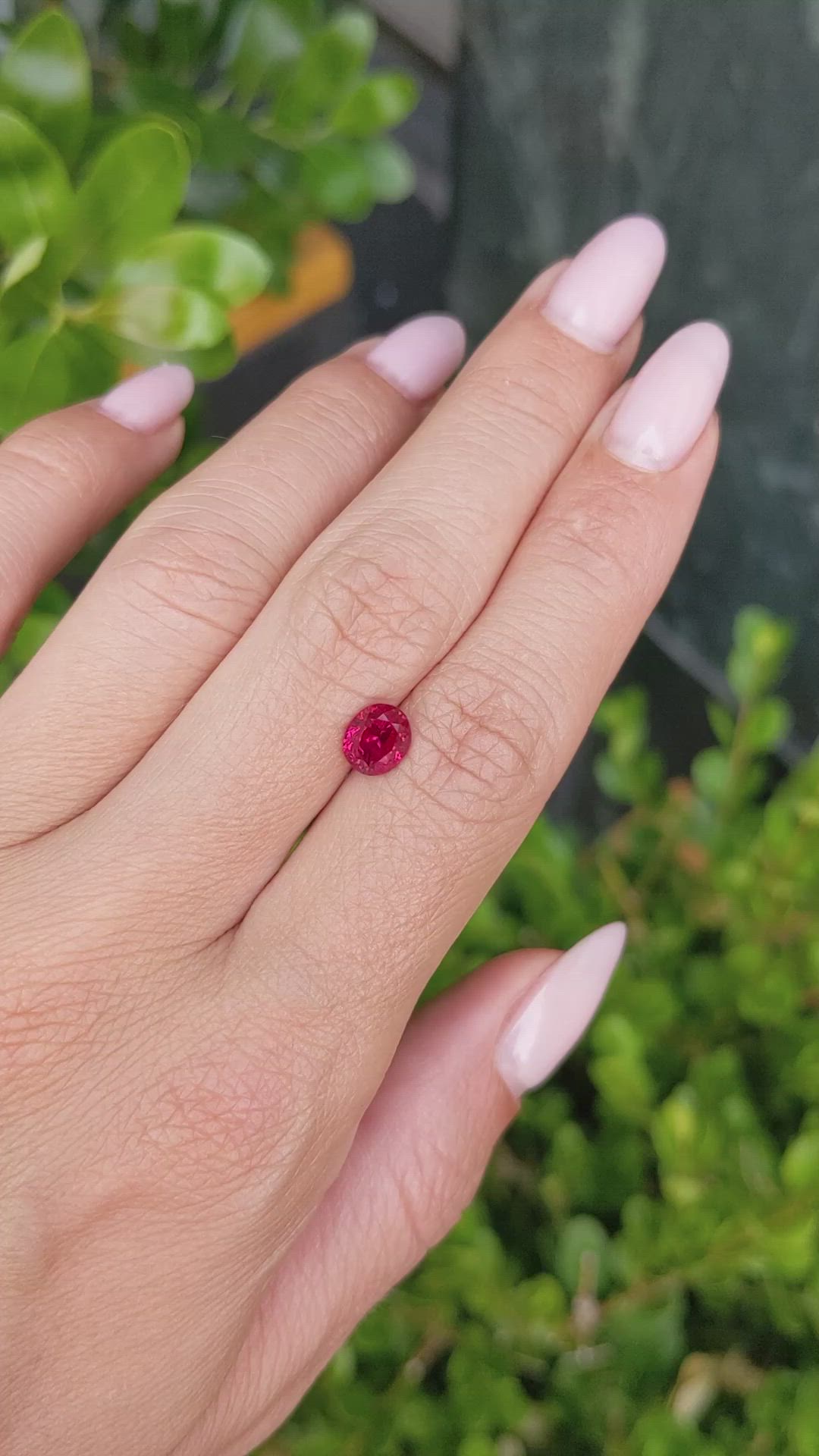 1.61 Ct. Ruby from Burma (Myanmar) Size Video