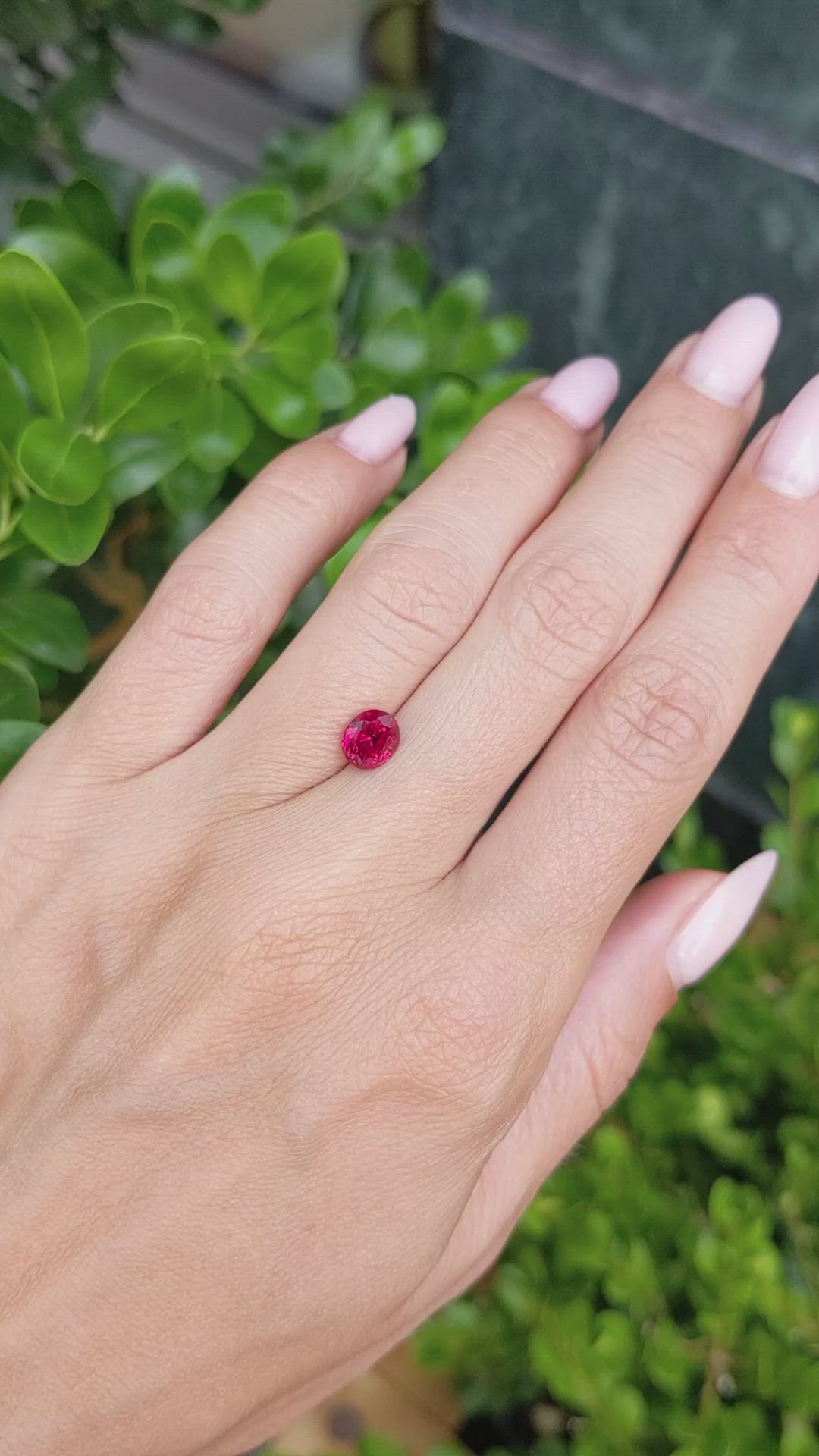 1.61 Ct. Ruby from Burma (Myanmar) Size Video