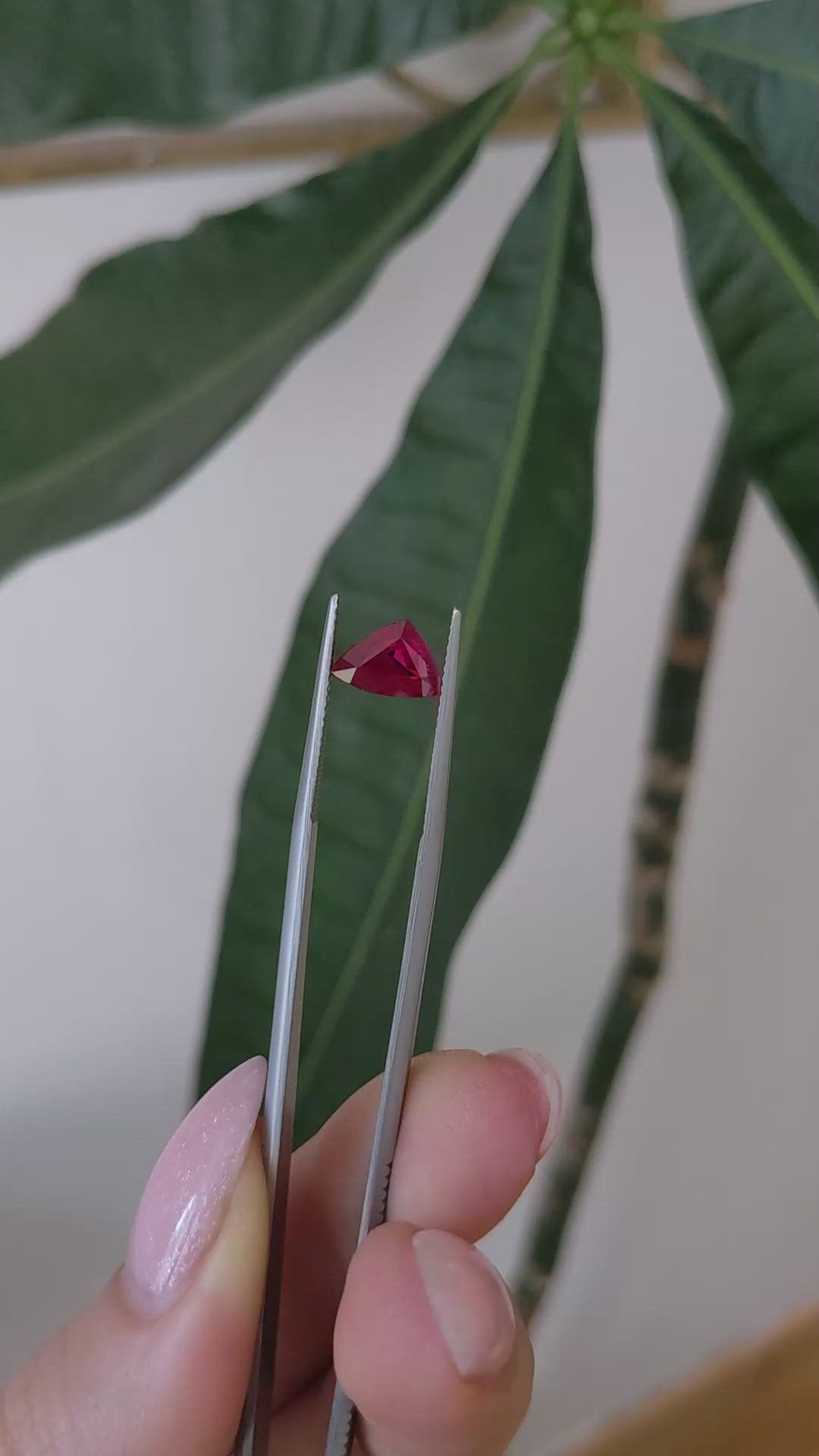 2.20 Ct. Ruby from Burma (Myanmar) Size Video