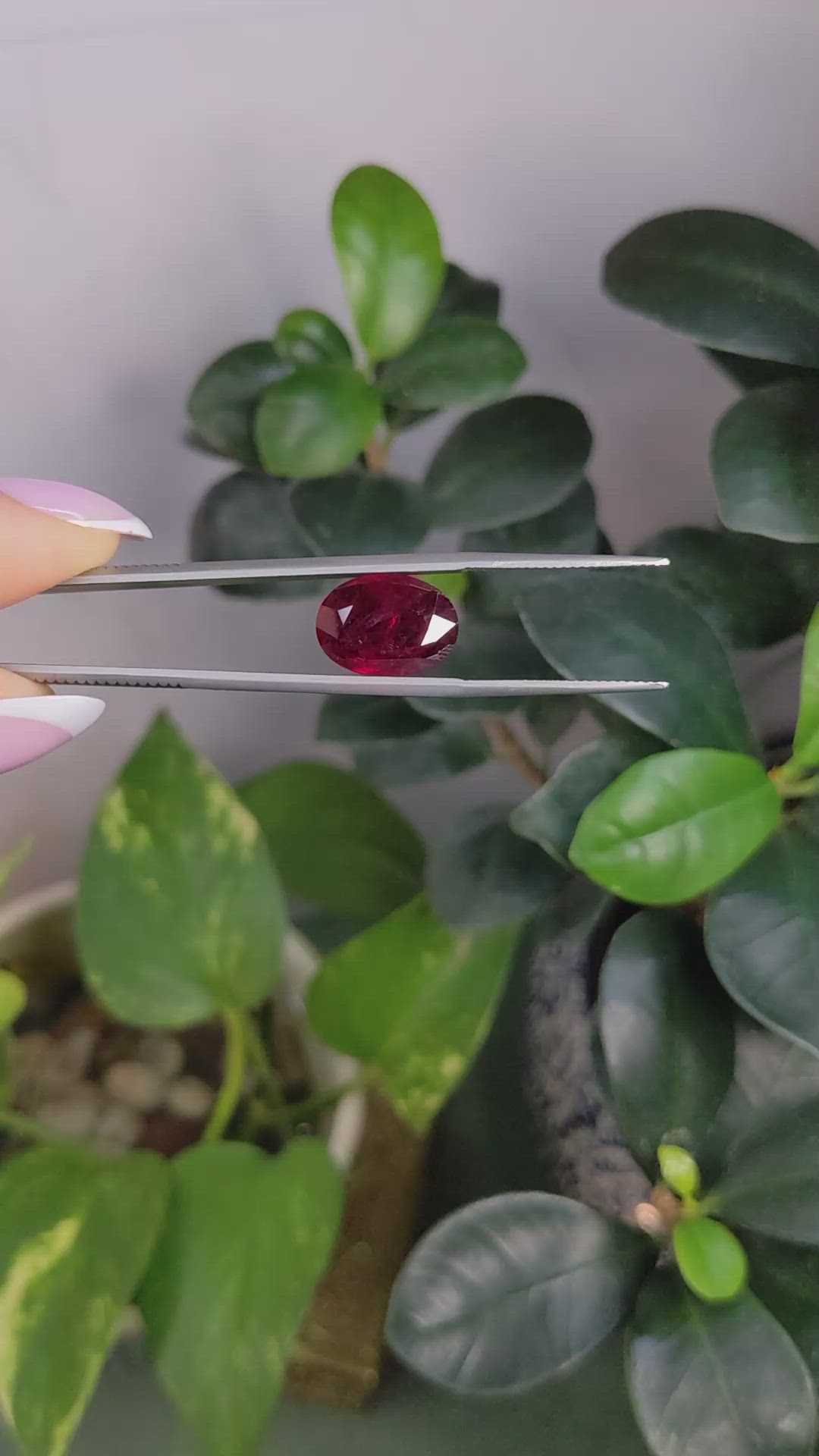 7.13 Ct. Ruby from Mozambique Size Video