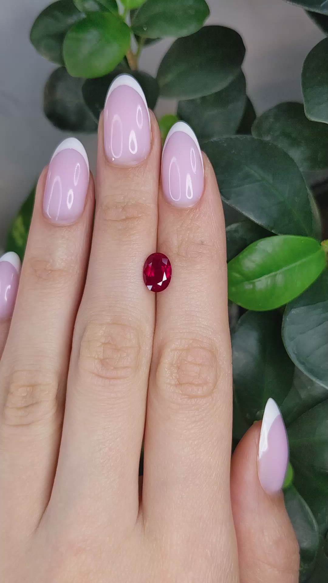 1.85 Ct. Ruby from Mozambique Size Video