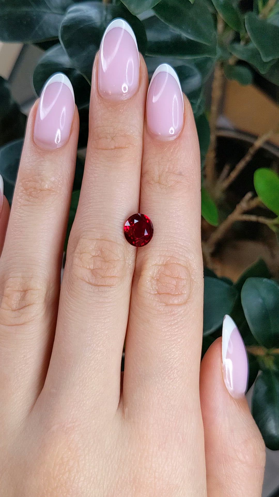 2.53 Ct. Ruby from Mozambique Size Video