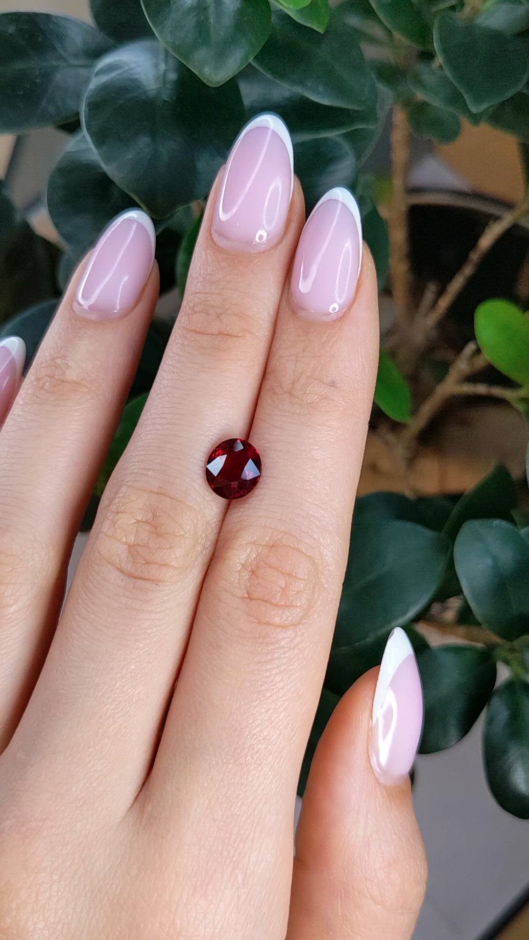 2.53 Ct. Ruby from Mozambique Size Video