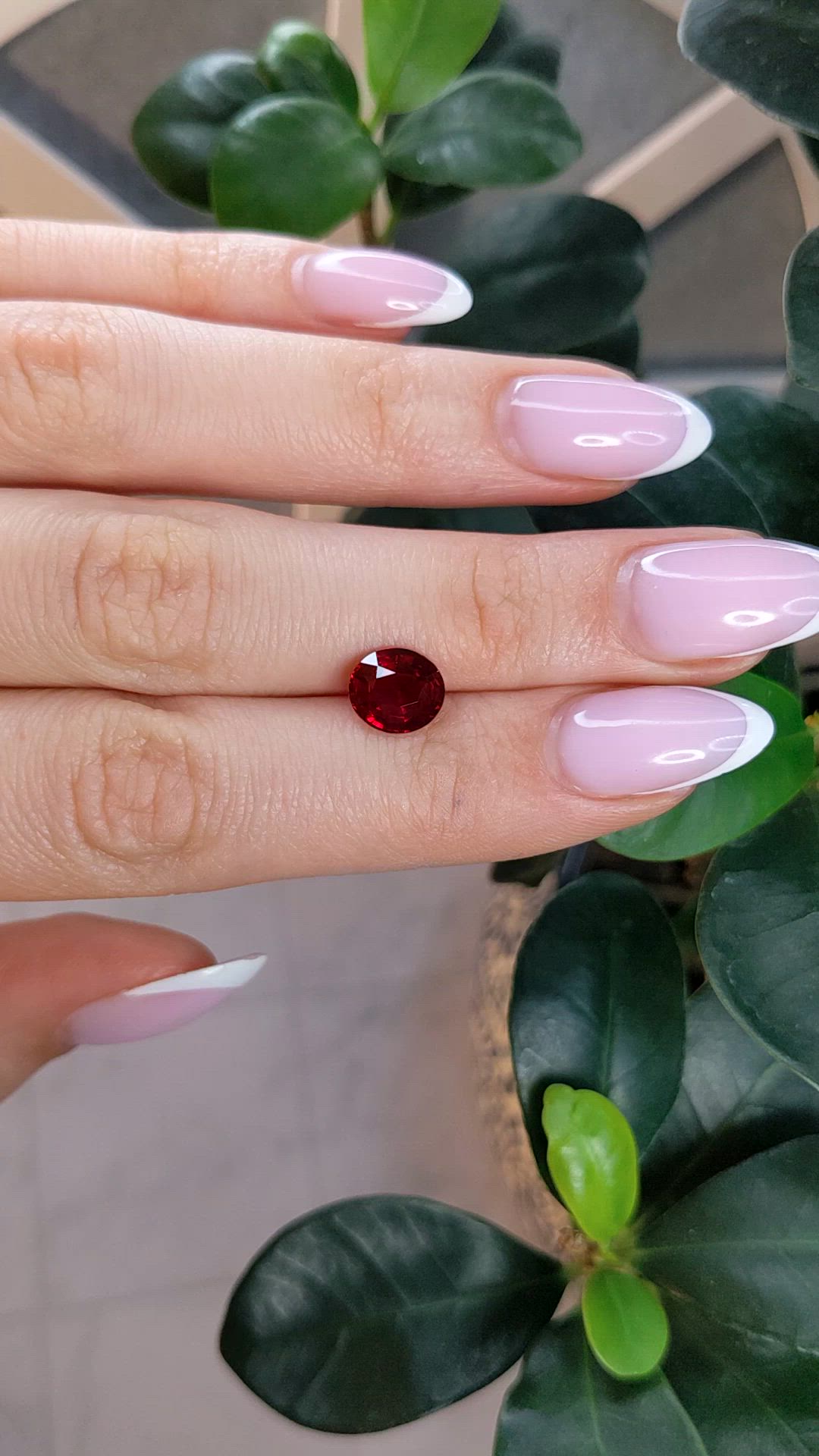2.53 Ct. Ruby from Mozambique Size Video