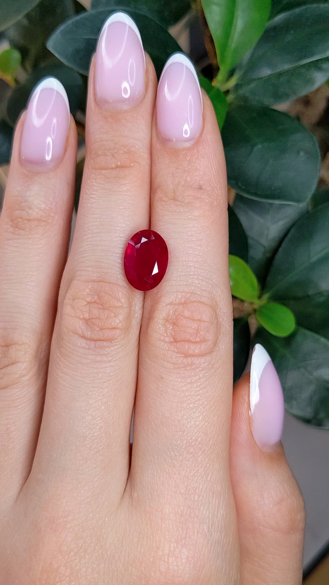 5.64 Ct. Ruby from Mozambique Size Video