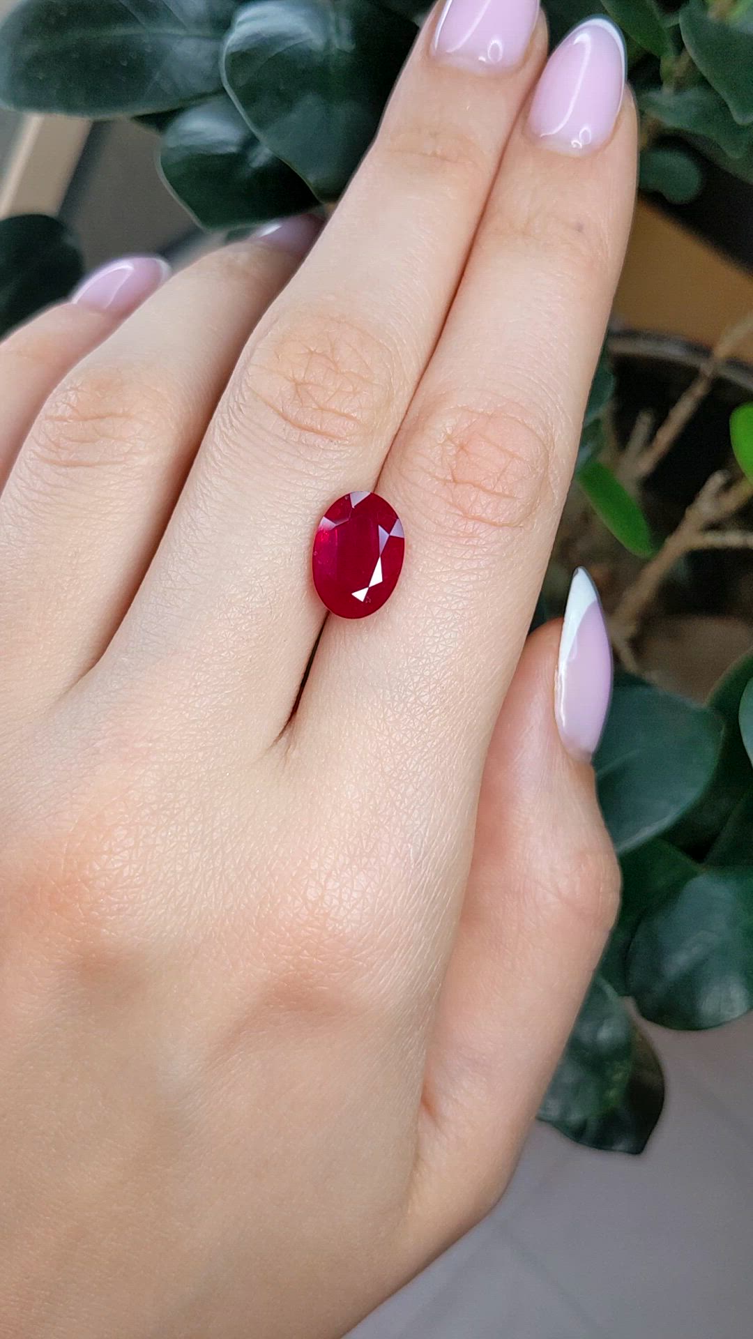 5.64 Ct. Ruby from Mozambique Size Video