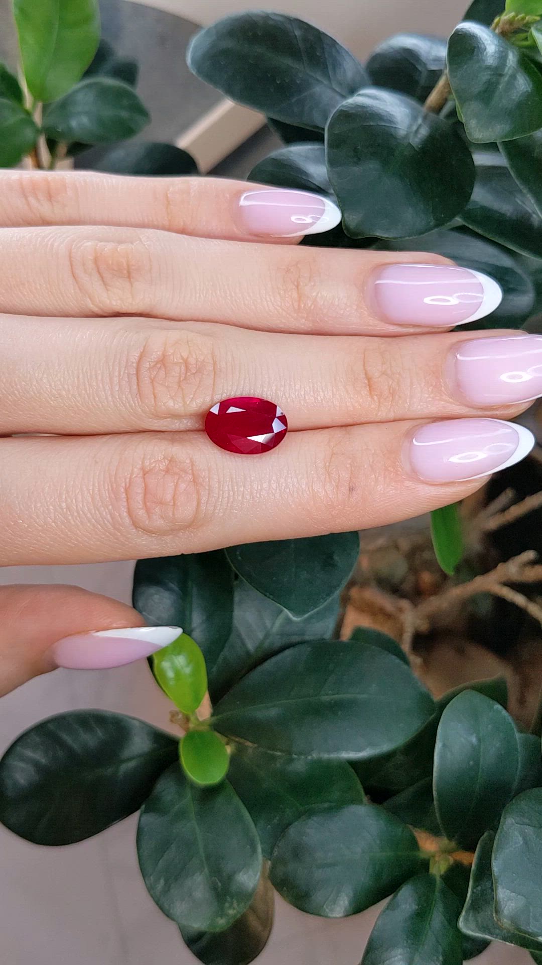 5.64 Ct. Ruby from Mozambique Size Video