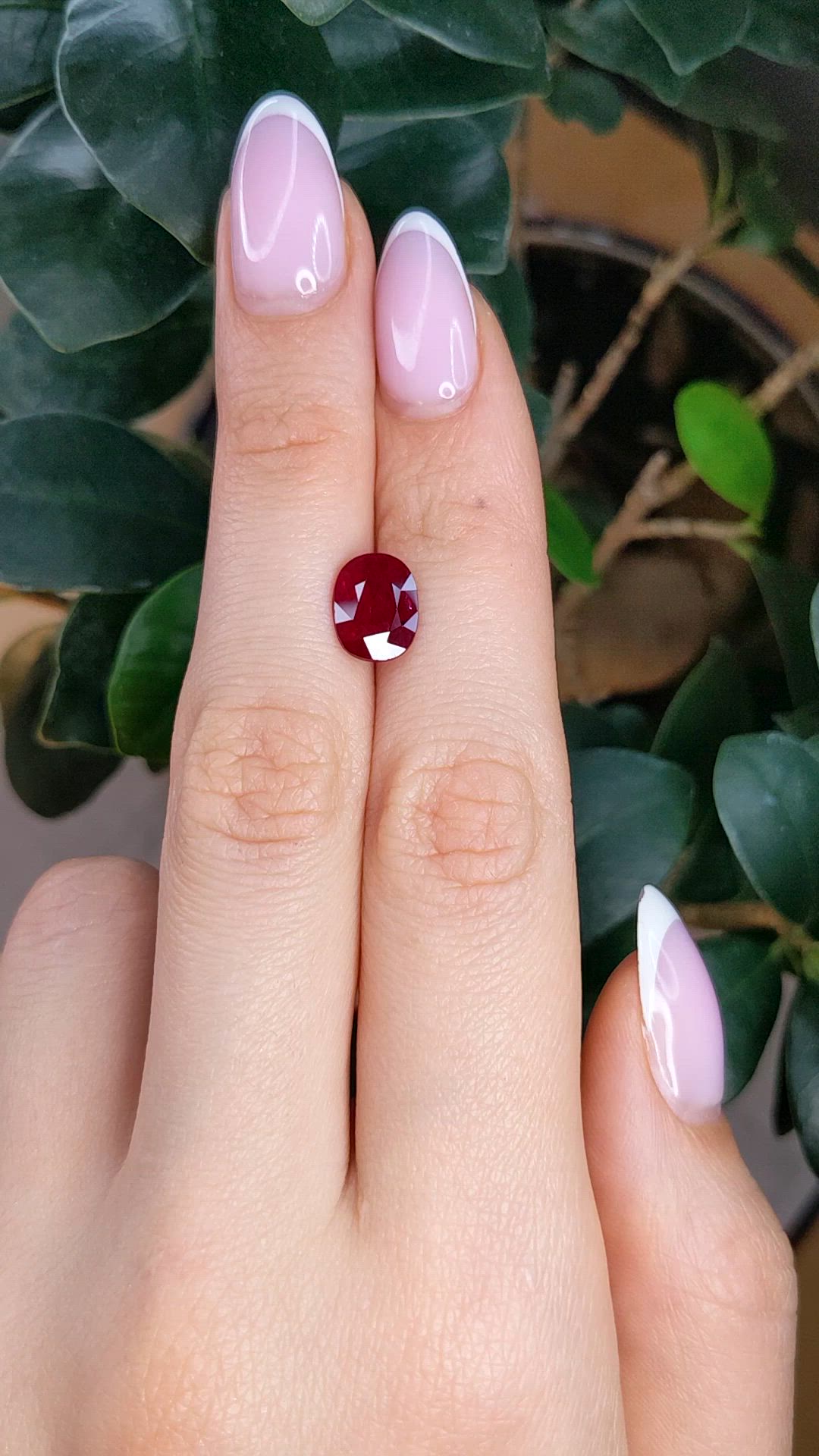 2.81 Ct. Ruby from Mozambique Size Video