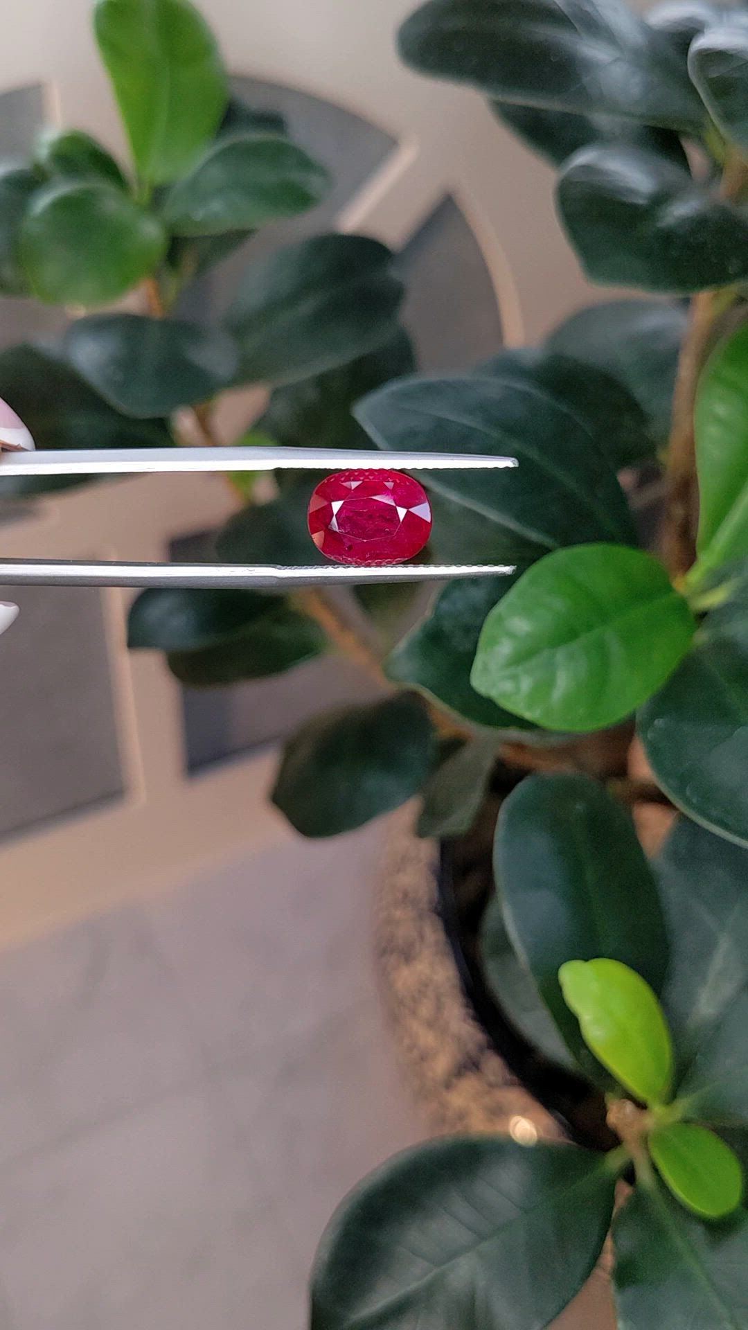 2.81 Ct. Ruby from Mozambique Size Video