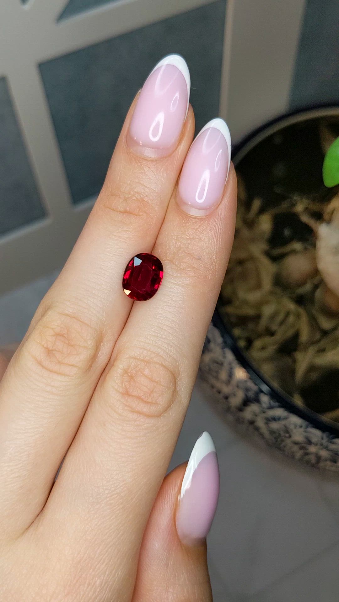 3.28 Ct. Ruby from Mozambique Size Video