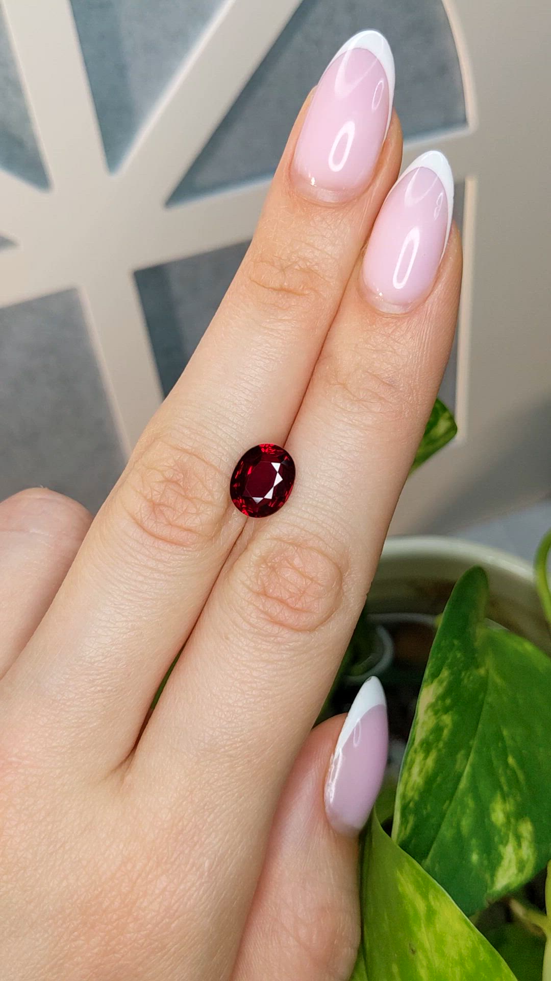 3.03 Ct. Ruby from Mozambique Size Video