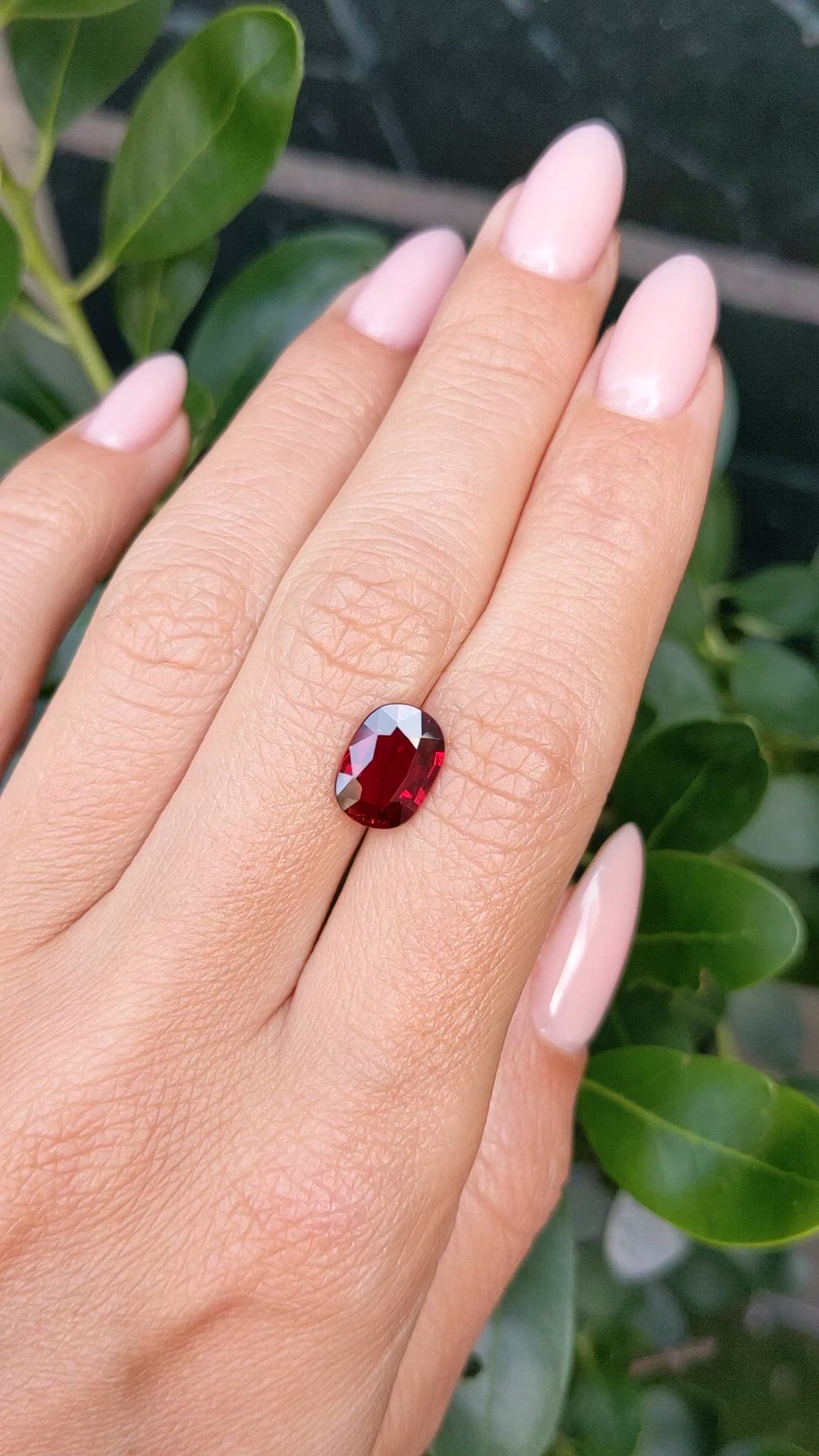 3.03 Ct. Ruby from Mozambique Size Video