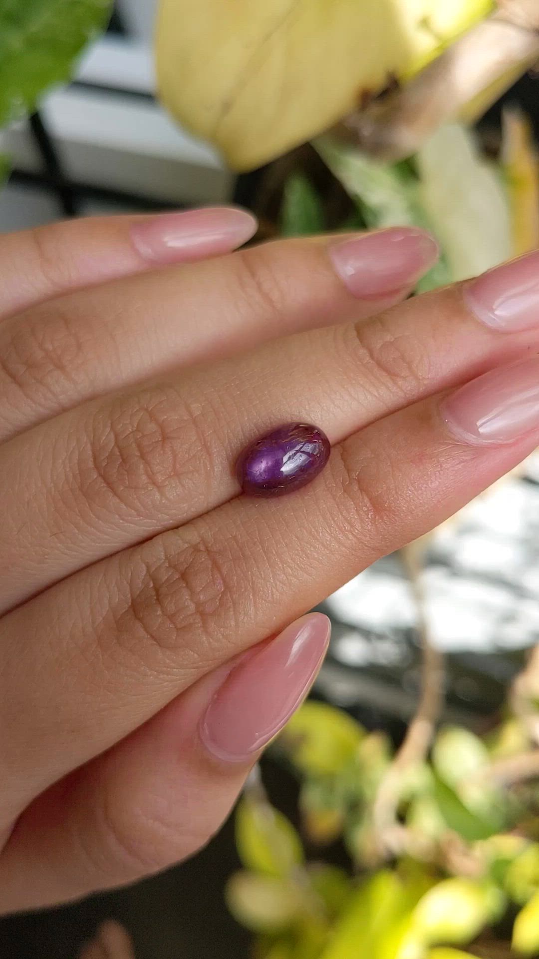 4.64 Ct. Purplish Red Star Ruby from Mozambique Size Video