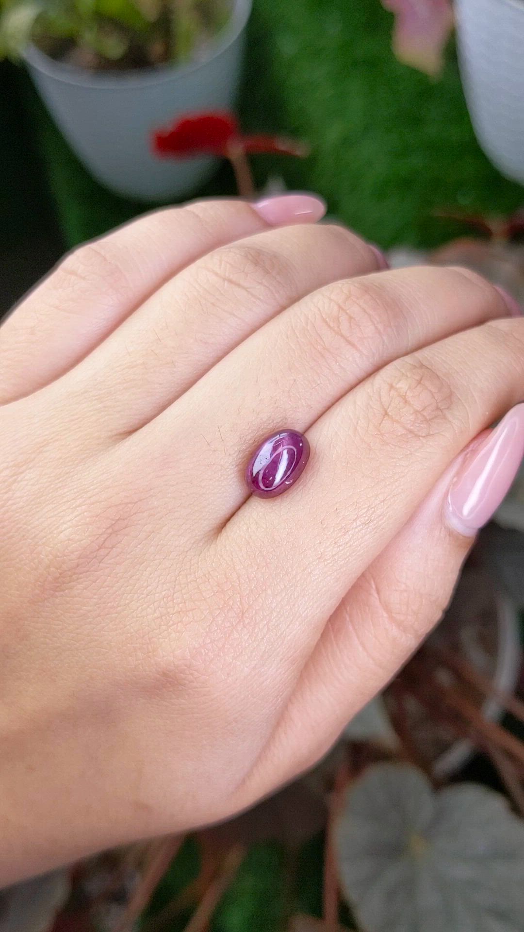 4.64 Ct. Purplish Red Star Ruby from Mozambique Size Video