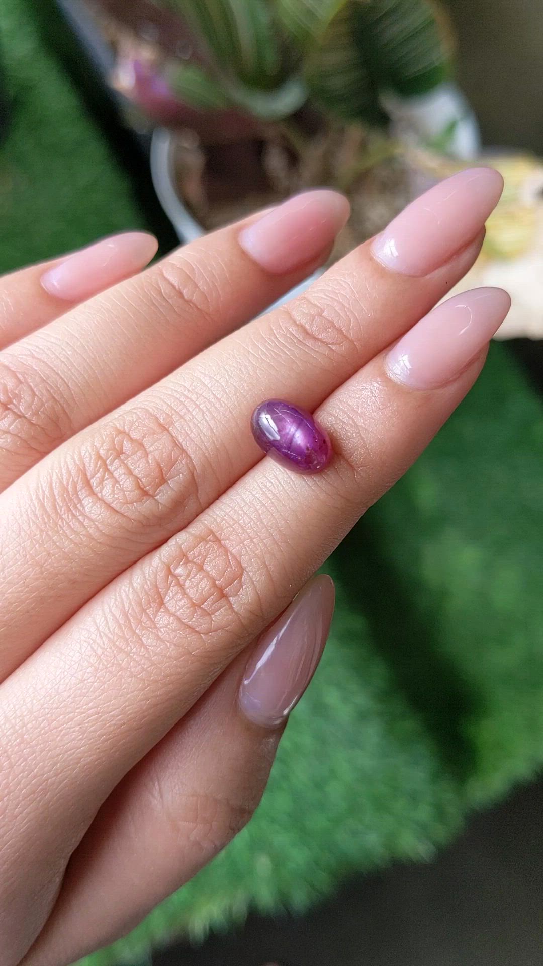 4.64 Ct. Purplish Red Star Ruby from Mozambique Size Video