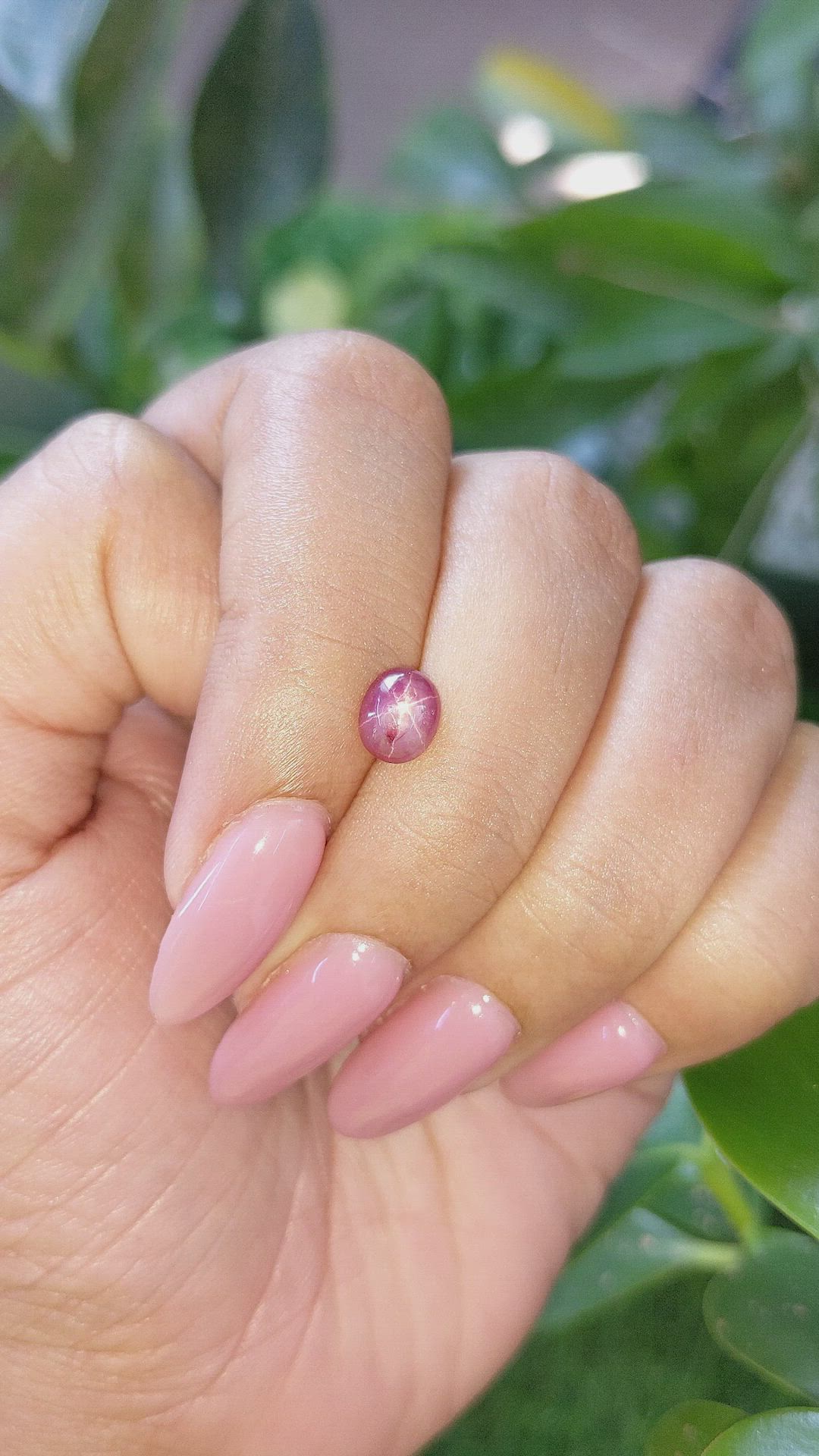 1.24 Ct. Purplish Red Star Ruby from Ceylon (Sri Lanka) Size Video