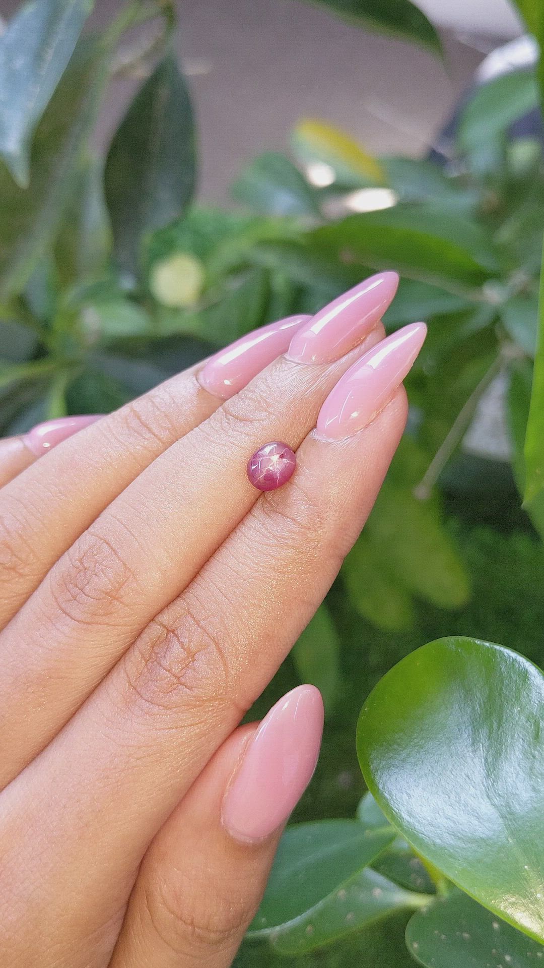 1.24 Ct. Purplish Red Star Ruby from Ceylon (Sri Lanka) Size Video