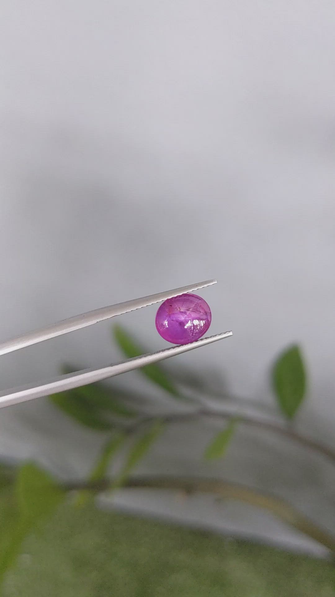 3.32 Ct. Purplish Red Star Ruby from Mozambique Size Video