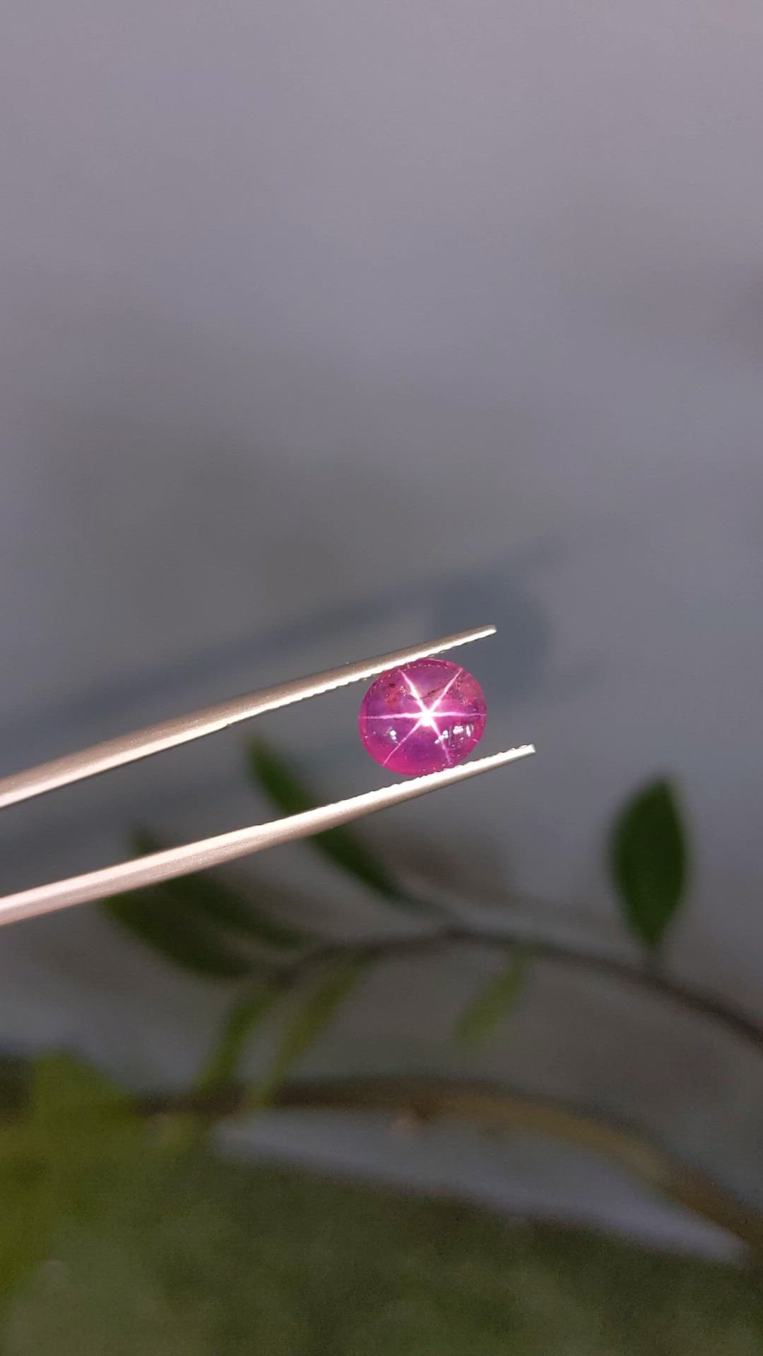 3.32 Ct. Purplish Red Star Ruby from Mozambique Size Video
