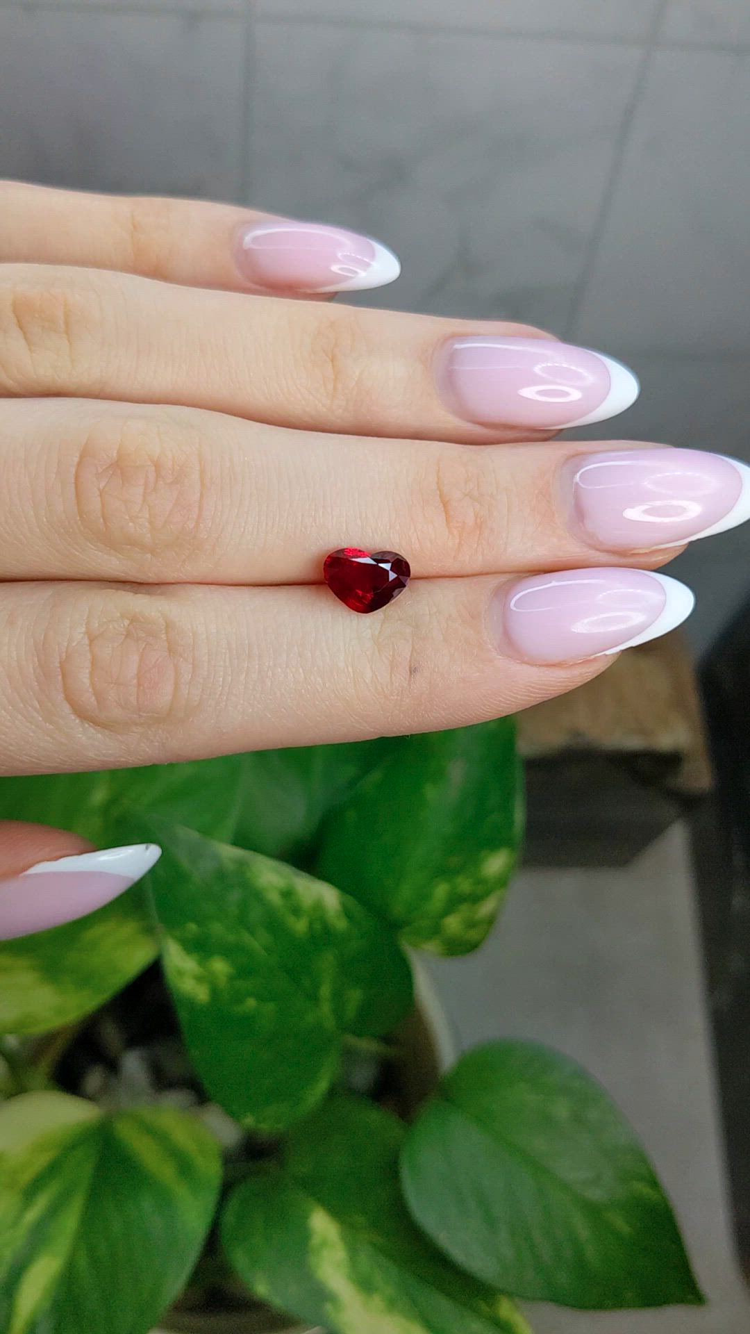 2.06 Ct. Ruby from Mozambique Size Video