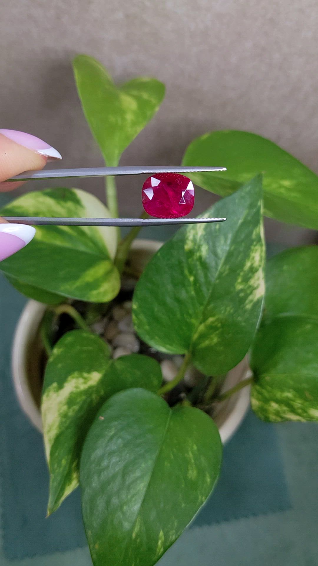 5.89 Ct. Ruby from Mozambique Size Video