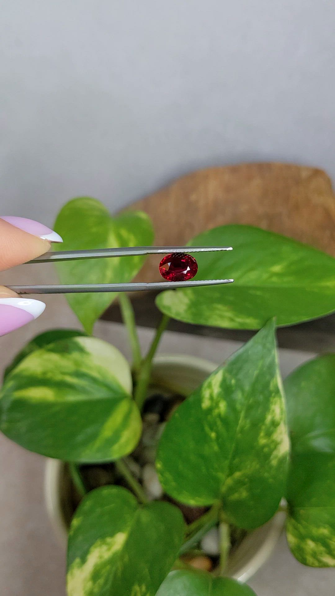 2.12 Ct. Ruby from Madagascar Size Video