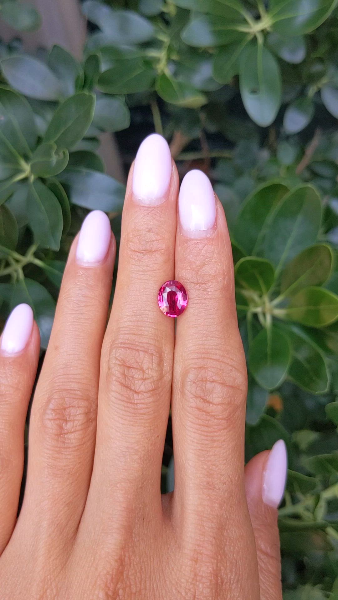 2.05 Ct. Purplish Red Ruby from Mozambique Size Video