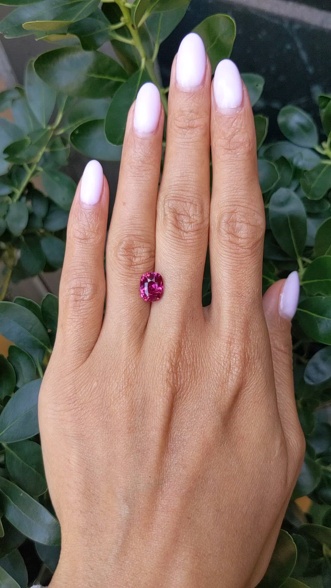 3.03 Ct. Purplish Red Ruby from Mozambique Size Video