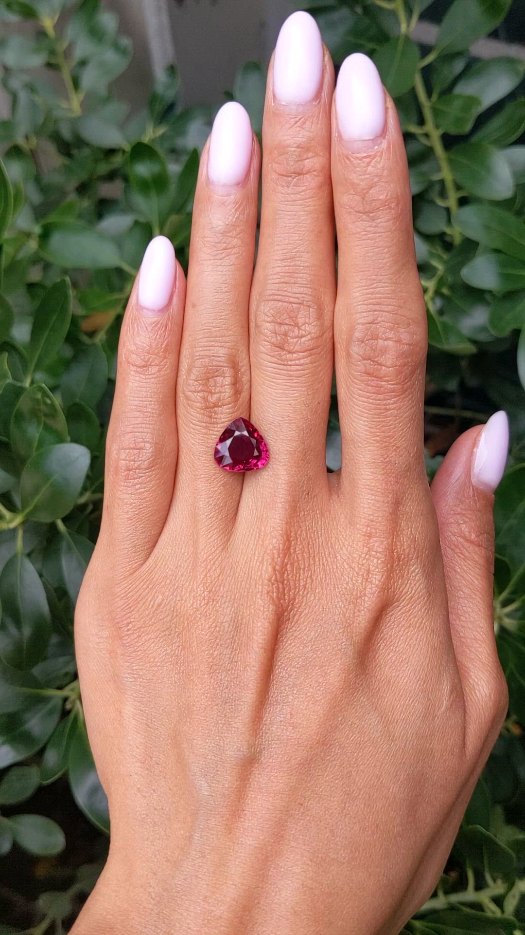 4.12 Ct. Purplish Red Ruby from Thailand Size Video