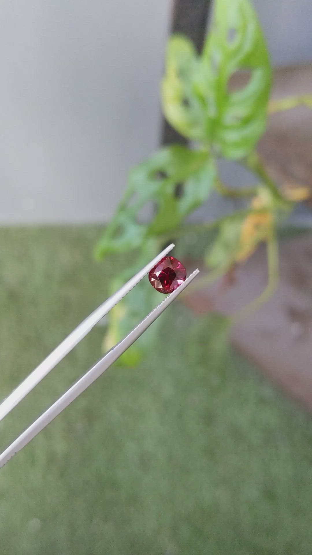 1.13 Ct. Ruby from Burma (Myanmar) Size Video