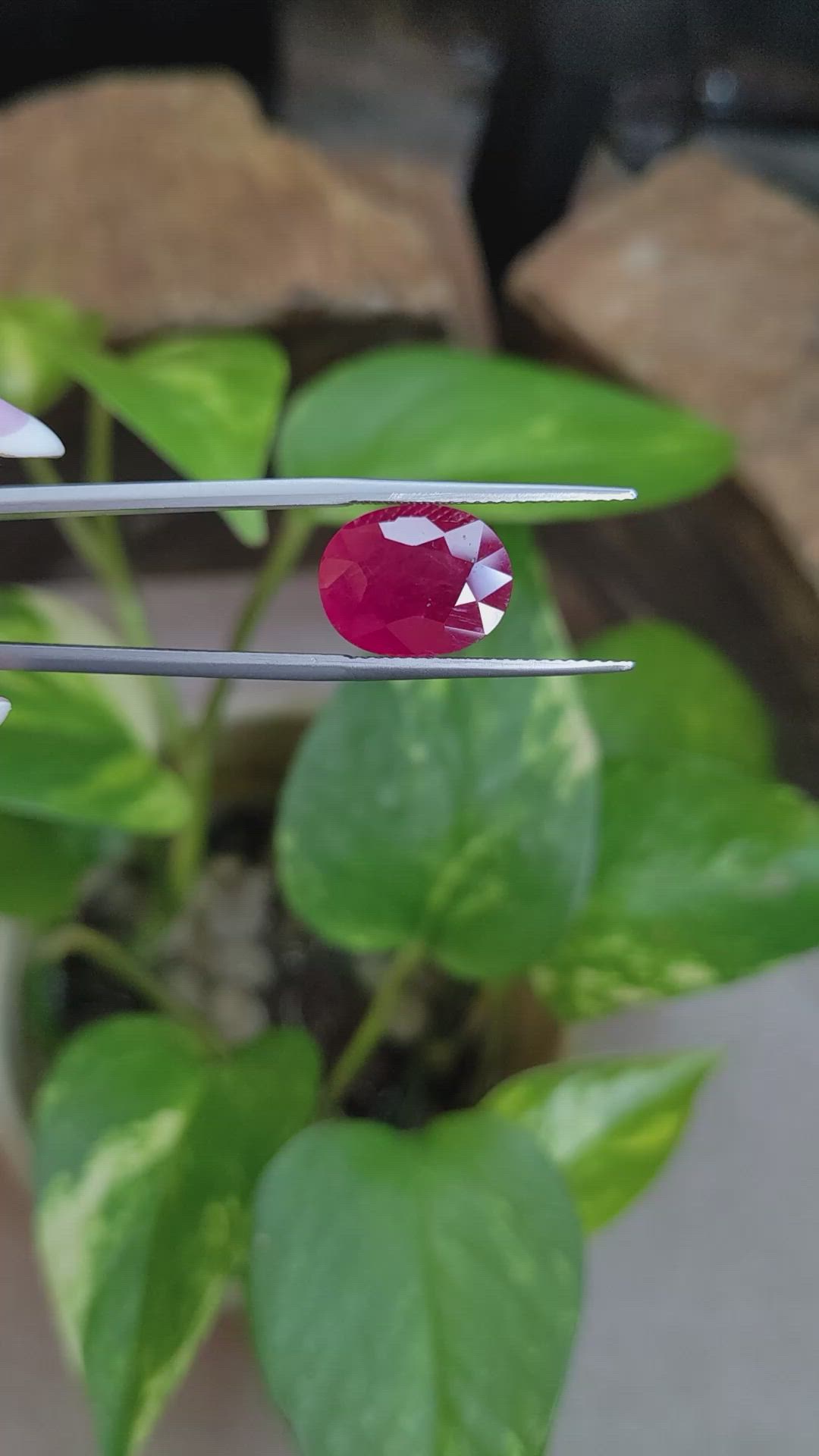 5.09 Ct. Ruby from Mozambique Size Video
