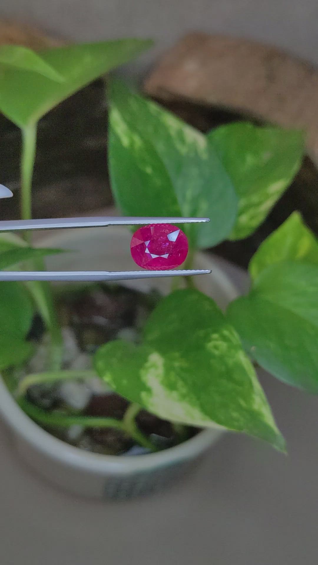 3.87 Ct. Ruby from Mozambique Size Video