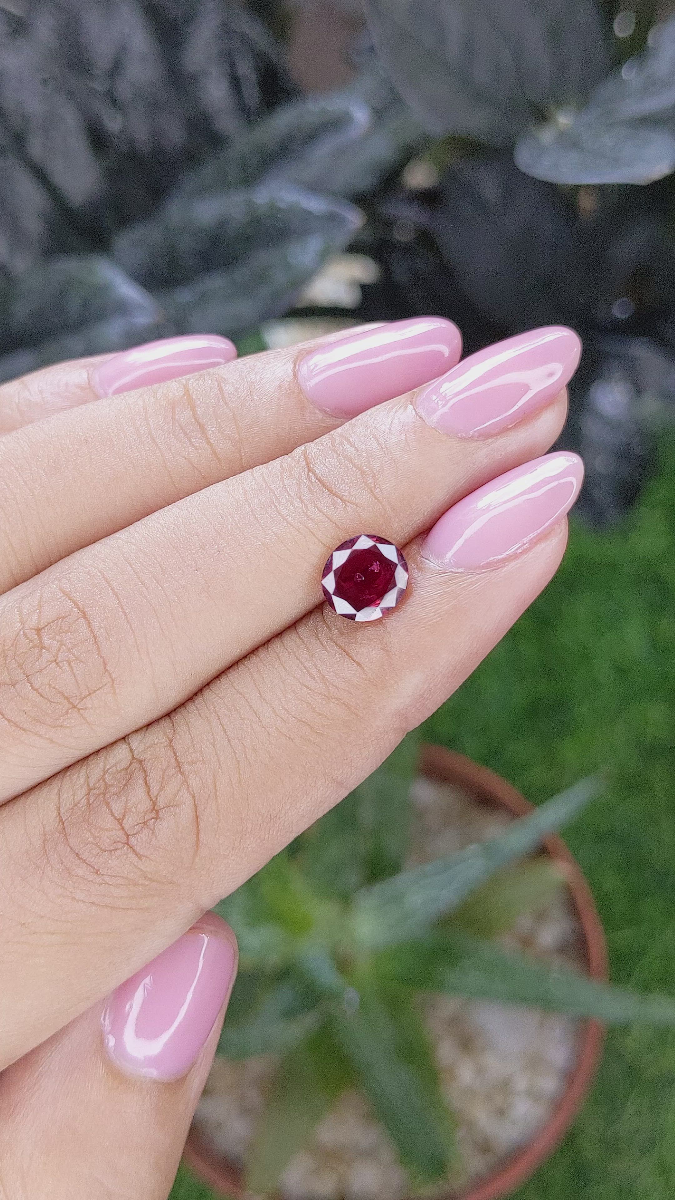 1.65 Ct. Purplish Red Ruby from Madagascar Size Video