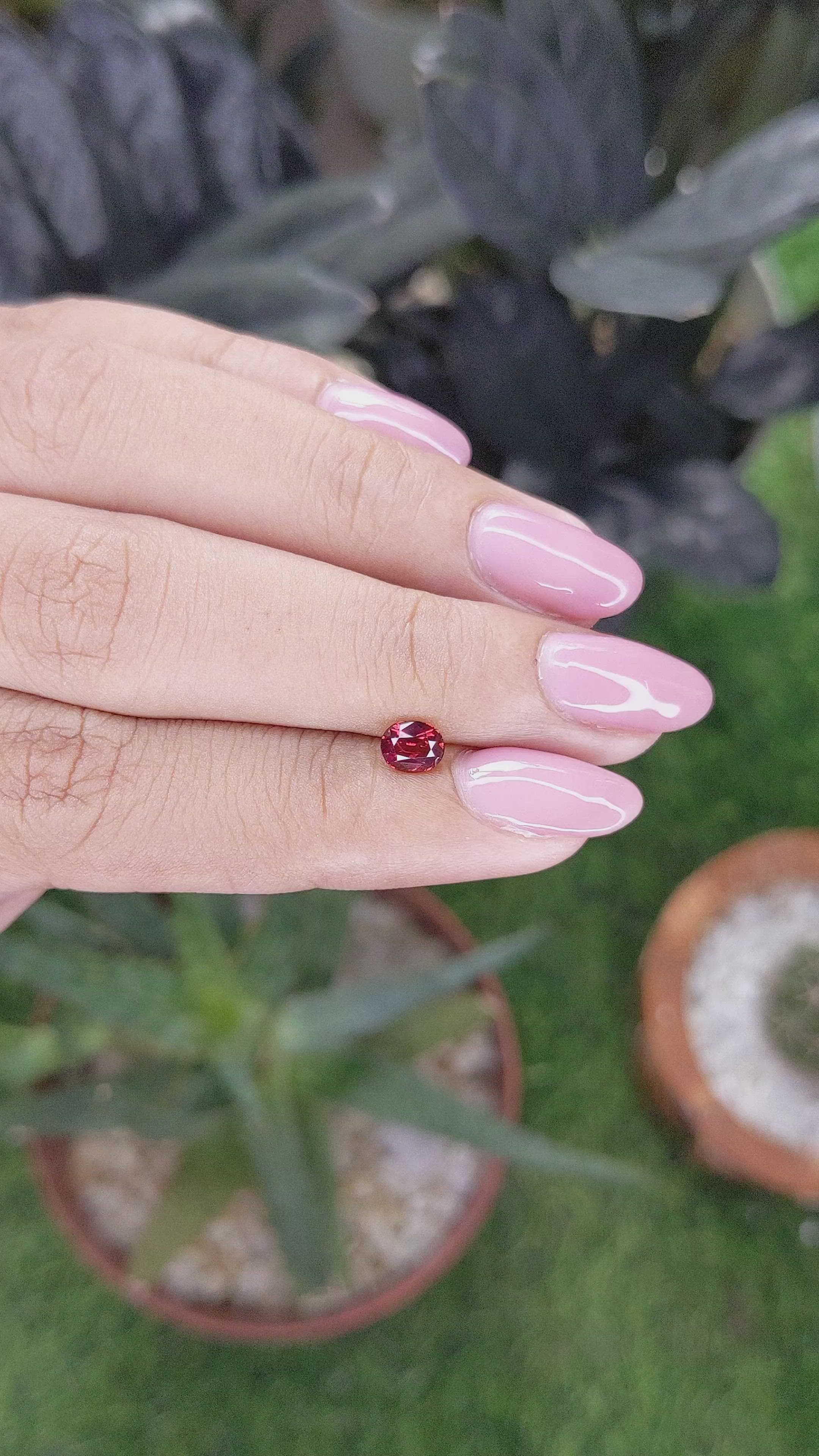 0.54 Ct. Ruby from Madagascar Size Video