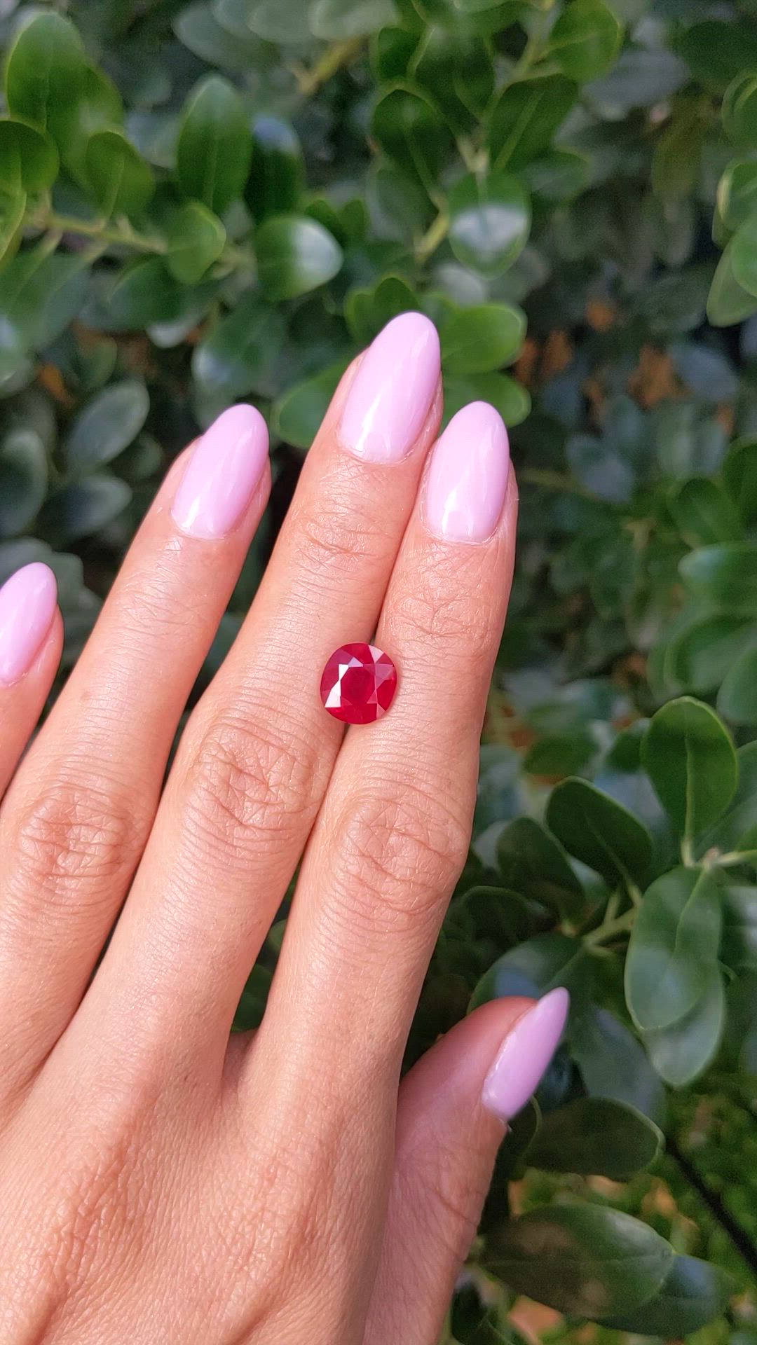 3.39 Ct. Ruby from Burma (Myanmar) Size Video