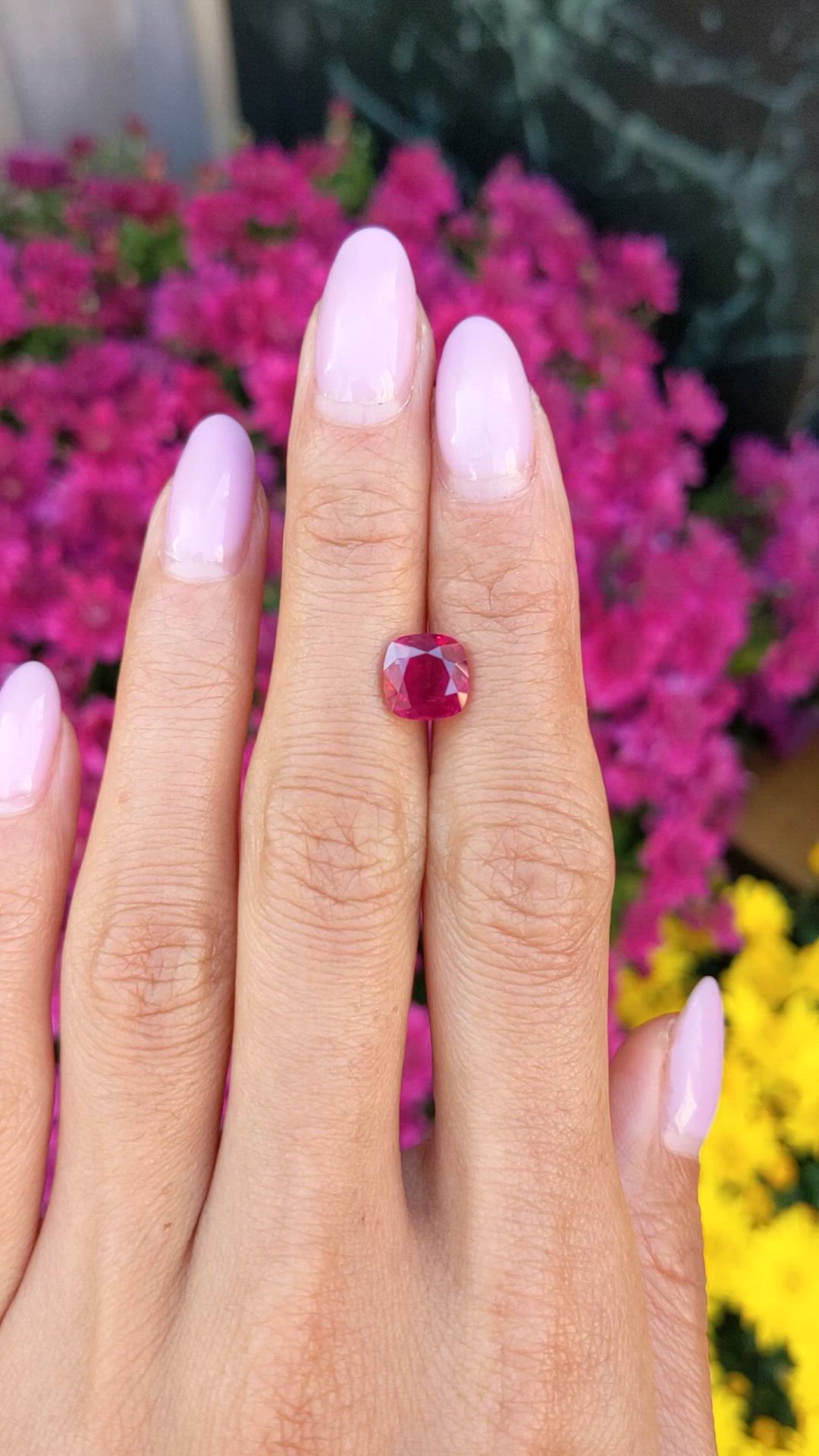 2.76 Ct. Ruby from Burma (Myanmar) Size Video