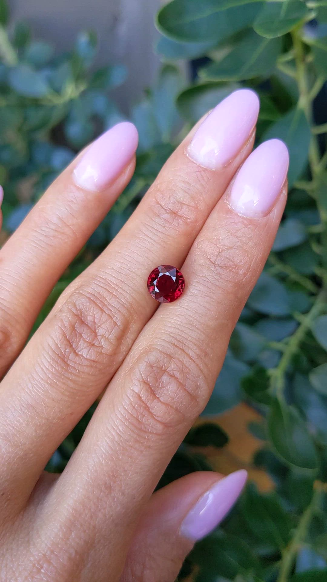 2.20 Ct. Ruby from Mozambique Size Video